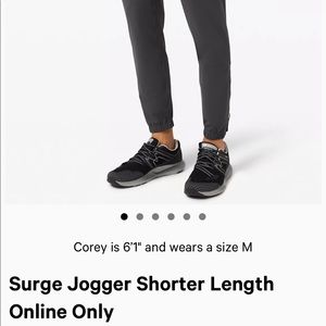 Lululemon Surge Joggers (S) Shorter